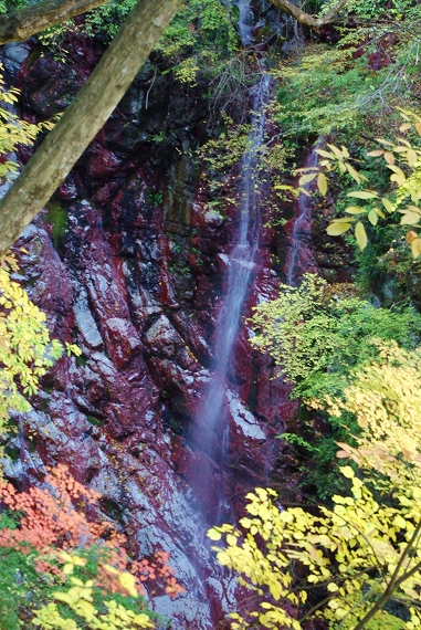 f:id:Argon:20101110181548j:image
