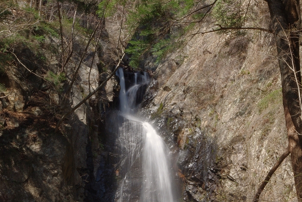 f:id:Argon:20110413212042j:image