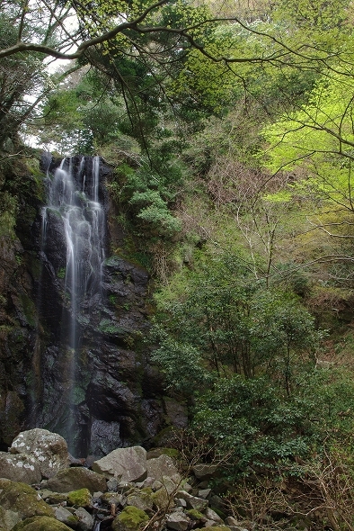 f:id:Argon:20110422205456j:image