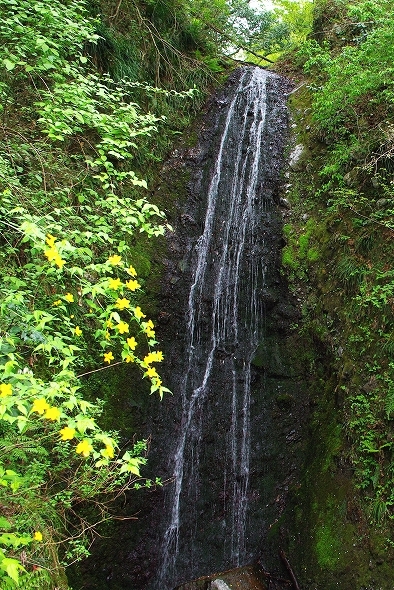 f:id:Argon:20110422205457j:image