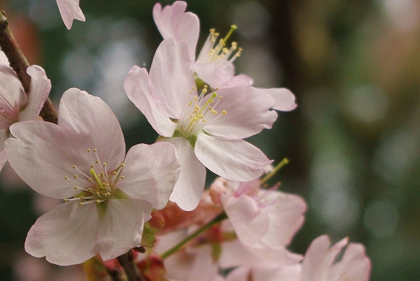f:id:Argon:20110422212540j:image