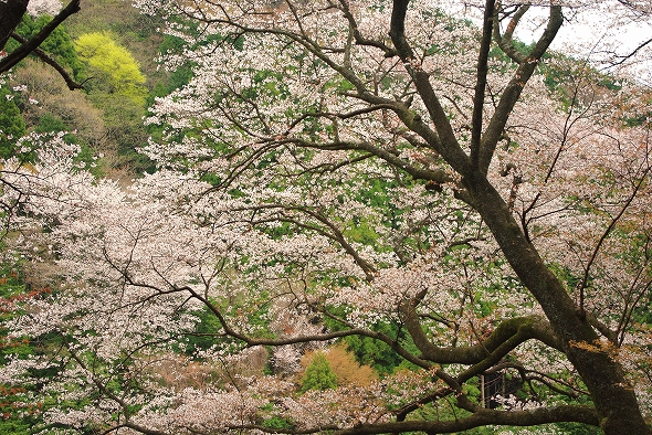 f:id:Argon:20110422212556j:image