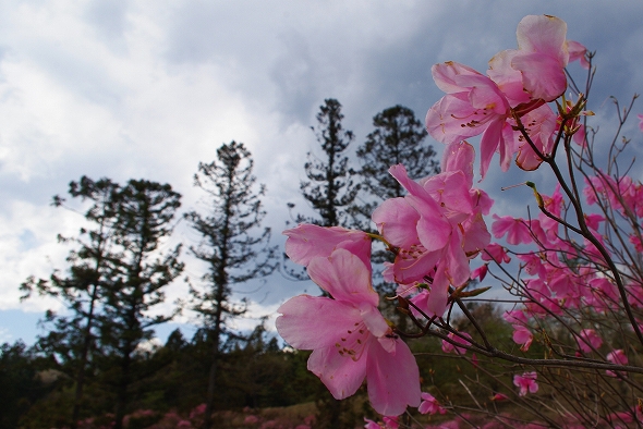 f:id:Argon:20110424220945j:image