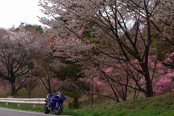 f:id:Argon:20110424220946j:image