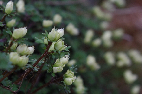 f:id:Argon:20110424220947j:image