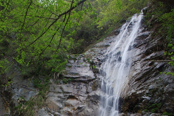f:id:Argon:20110429215720j:image