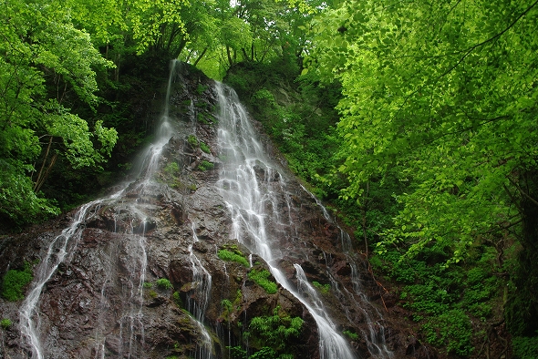 f:id:Argon:20110513180506j:image f:id:Argon:20110513180506j:image