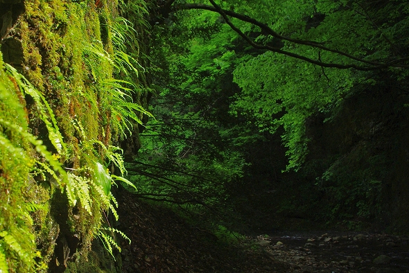 f:id:Argon:20110513235718j:image f:id:Argon:20110513235718j:image