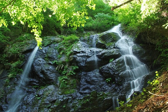 f:id:Argon:20110515144100j:image