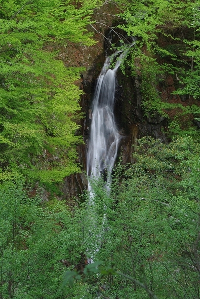 f:id:Argon:20110520205005j:image