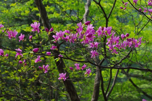 f:id:Argon:20110520205313j:image