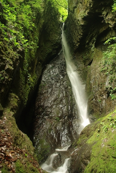 f:id:Argon:20110527194308j:image