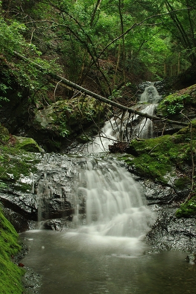 f:id:Argon:20110527194311j:image