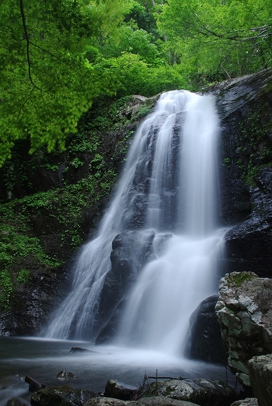 f:id:Argon:20110604211932j:image
