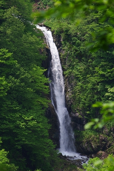 f:id:Argon:20110604230040j:image f:id:Argon:20110604230040j:image