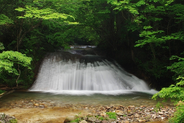 f:id:Argon:20110604235316j:image f:id:Argon:20110604235316j:image