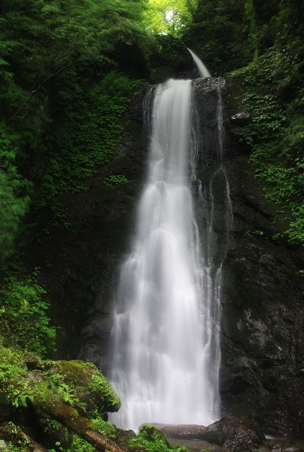 f:id:Argon:20110708194913j:image