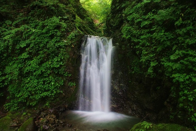 f:id:Argon:20110709001125j:image