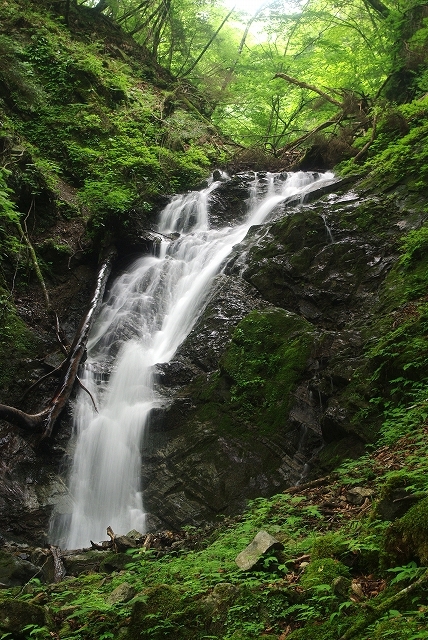 f:id:Argon:20110709004446j:image