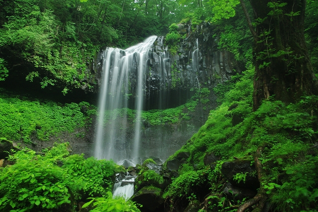 f:id:Argon:20110717235126j:image