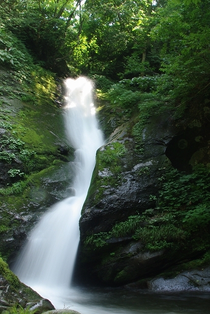 f:id:Argon:20110718004844j:image