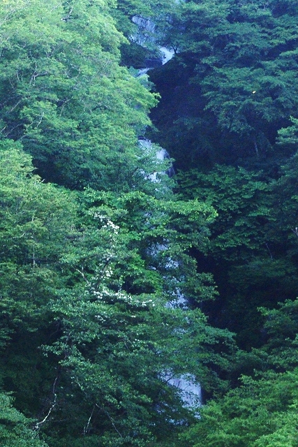 f:id:Argon:20110720125605j:image
