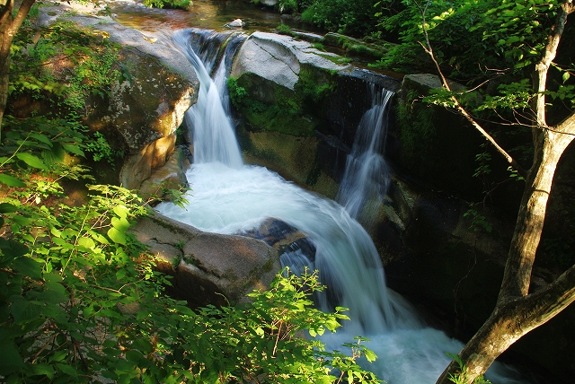 f:id:Argon:20110721000434j:image