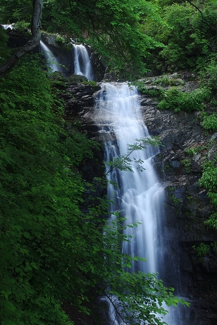 f:id:Argon:20110722180957j:image