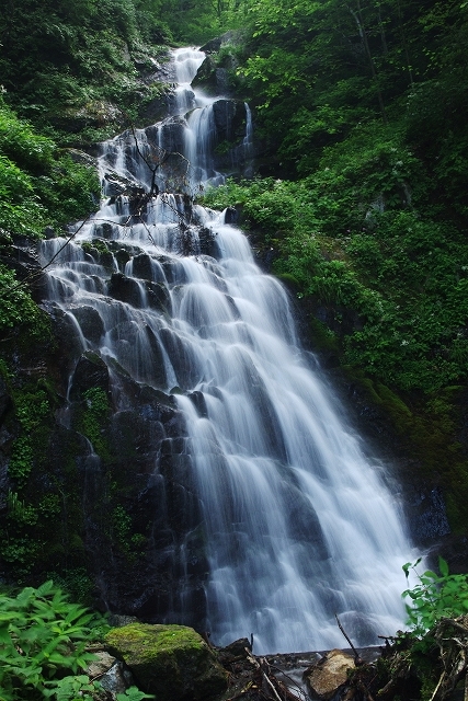 f:id:Argon:20110722235758j:image