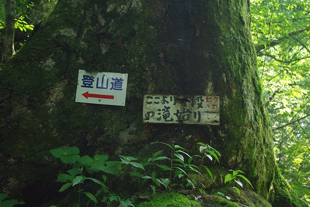 f:id:Argon:20110723201503j:image