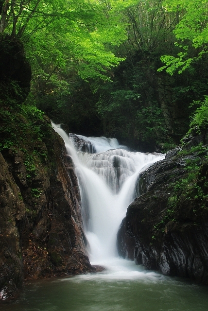 f:id:Argon:20110812185311j:image