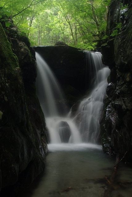 f:id:Argon:20110812185403j:image