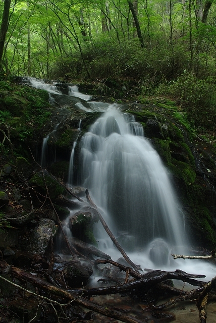 f:id:Argon:20110812185404j:image