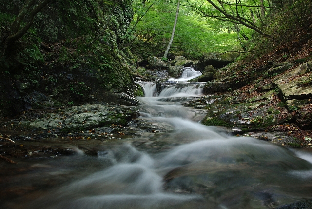 f:id:Argon:20110812185600j:image