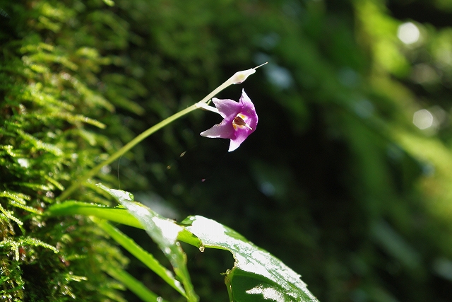 f:id:Argon:20110814210139j:image