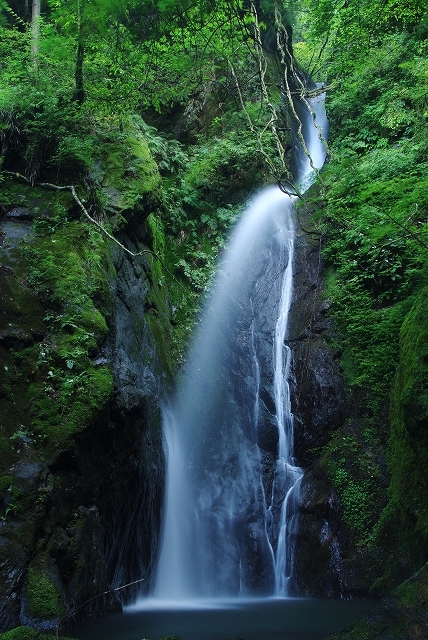 f:id:Argon:20110814210536j:image