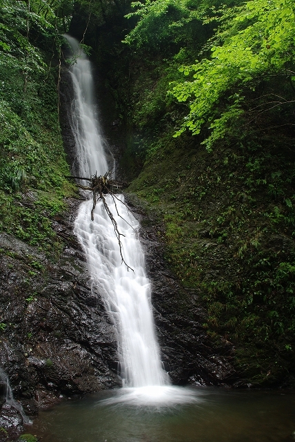f:id:Argon:20110821161447j:image