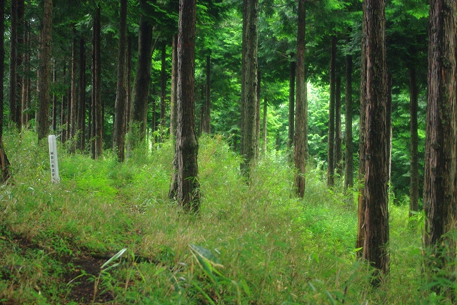 f:id:Argon:20110826165308j:image