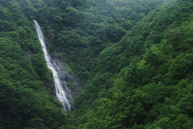f:id:Argon:20110901184630j:image
