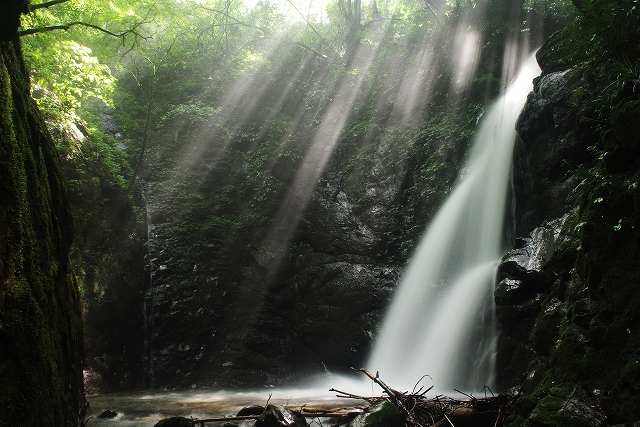 f:id:Argon:20110902194030j:image f:id:Argon:20110902194030j:image