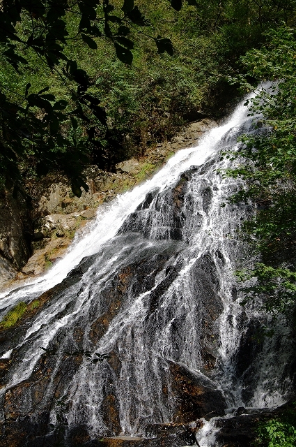 f:id:Argon:20110919091241j:image