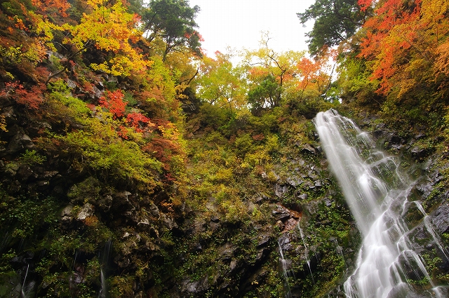 f:id:Argon:20111012204624j:image