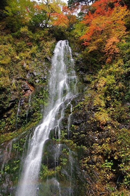 f:id:Argon:20111012204626j:image