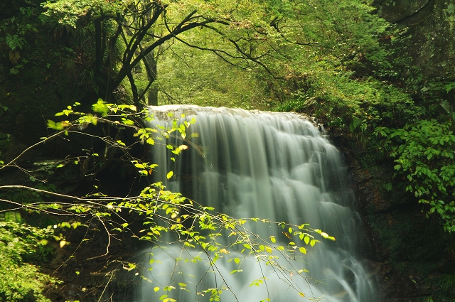 f:id:Argon:20111023200104j:image