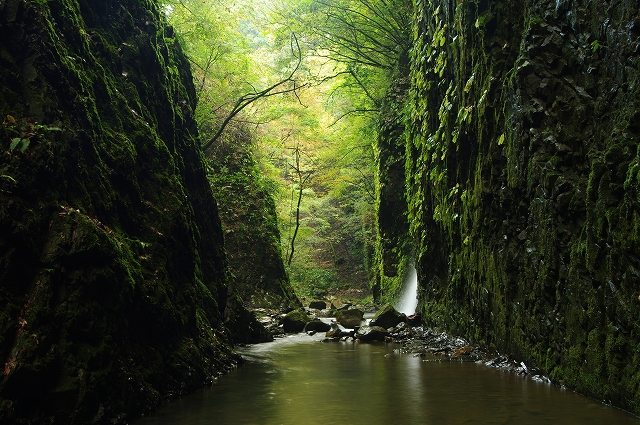 f:id:Argon:20111023200109j:image