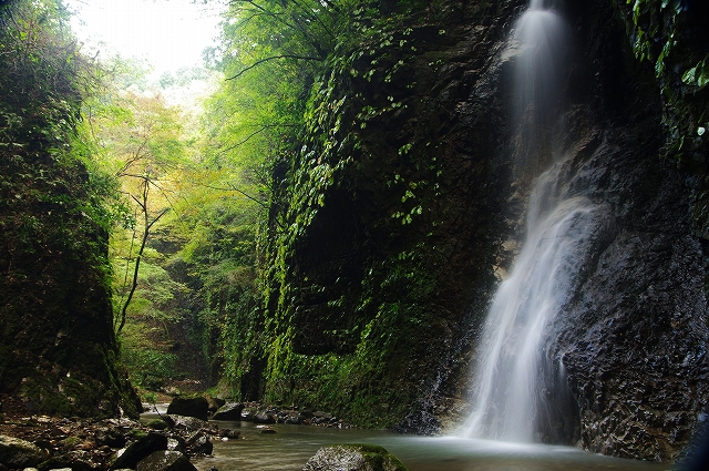 f:id:Argon:20111023200111j:image