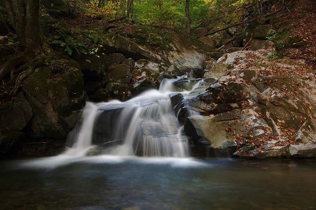 f:id:Argon:20111028180638j:image