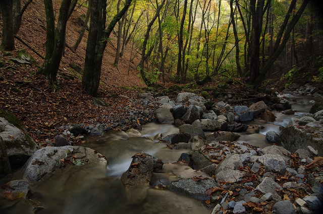 f:id:Argon:20111028180640j:image