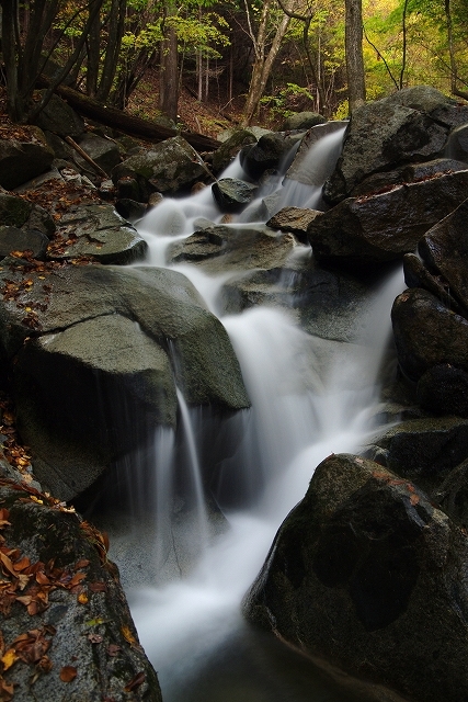 f:id:Argon:20111028182712j:image