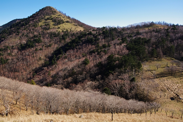 f:id:Argon:20111204212348j:image